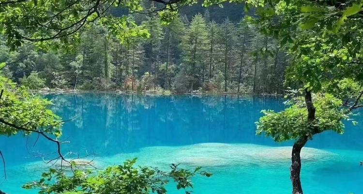 Circuit de 3 jours en voiture à Huanglong et Jiuzhaigou depuis Chengdu - Silk Road Trips 7