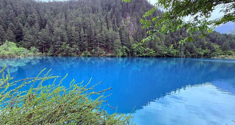 Levendig blauw meer omgeven door dichte bomen en groen