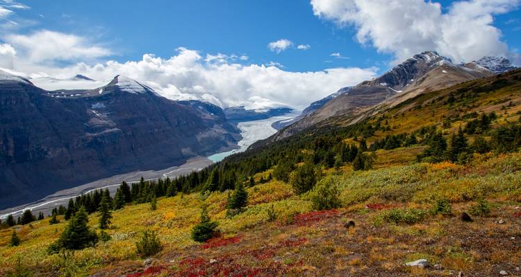 Des prairies alpines colorées descendent vers un glacier lointain et un lac d'eau de fonte turquoise dans une large vallée montagne.