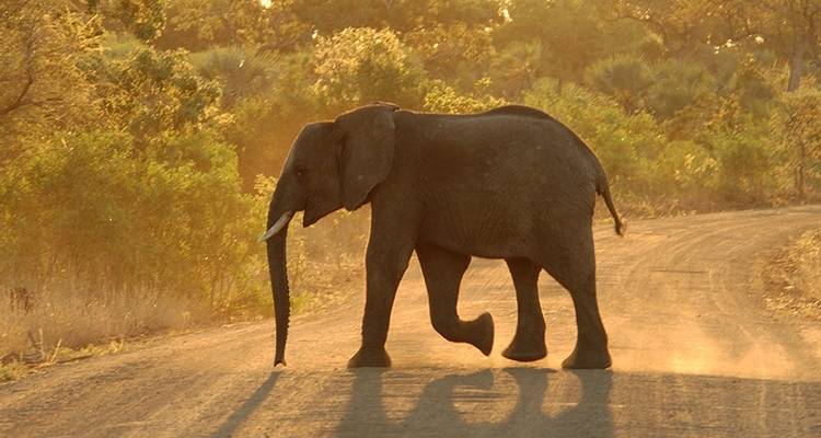 Experience South Africa - Just You 4