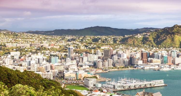 Breite Stadtlandschaft von Wellington, die sich zwischen sanften Hügeln und dem Hafen erstreckt.
