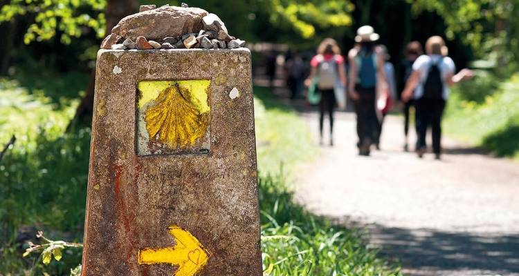 Recorriendo el Camino de Santiago - Just You 8
