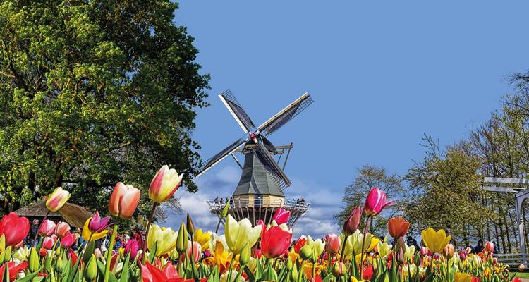 Caminos rurales de Bélgica, Luxemburgo y los Países Bajos (Clásico) - Insight Vacations 1