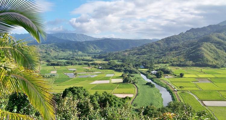 Hawai con Oahu y Maui (Clásico, con la Isla Grande) - Insight Vacations 2