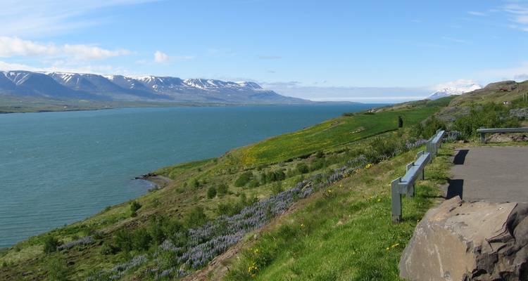 Gran vuelta a Islandia en 12 días - GJ Travel 6