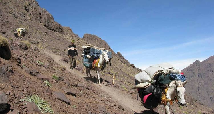 Circuit combiné de l'ascension du Mont Toubkal et du désert du Sahara - 5 jours - MTB in Morocco 9