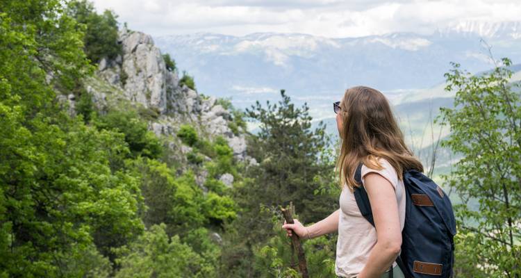 Female hiker looks out over rocky peaks and green valleys from a forest edge.