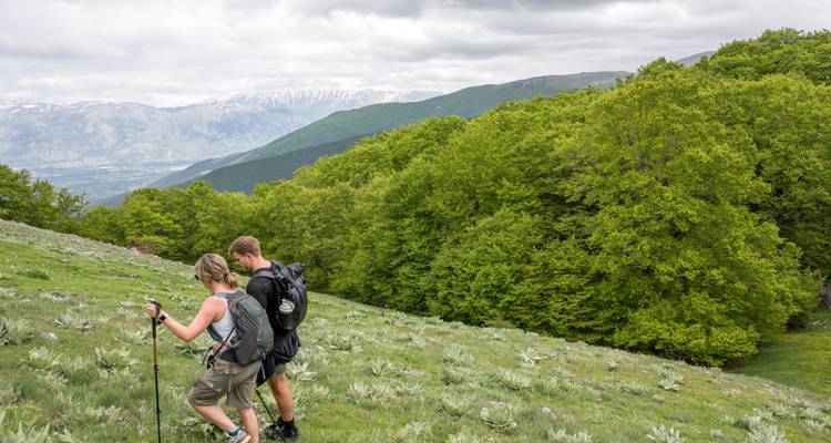 Two hikers consult a device while standing on a grassy mountainside dotted with wildflowers.