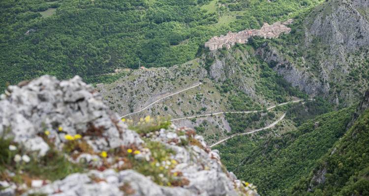 Telephoto view of a winding mountain road leading to a hilltop village, framed by wildflowers and rocky foreground.