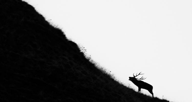 Apennins italiens : Promenades et faune - Exodus Adventure Travels 5