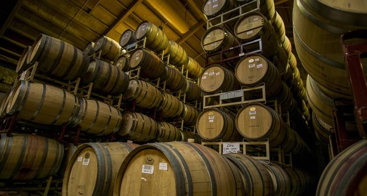 Experiencia privada Piamonte: tierra de uvas, trufa e historia - Europeando Europa 4