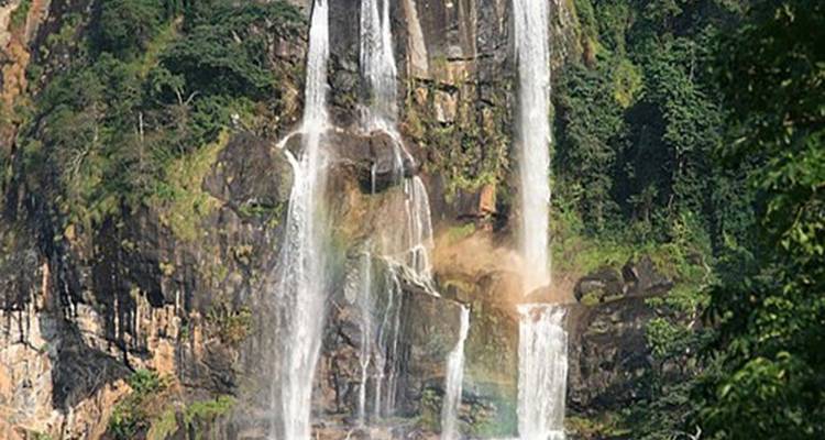 Alta cascada cayendo por un acantilado rocoso con vegetación.
