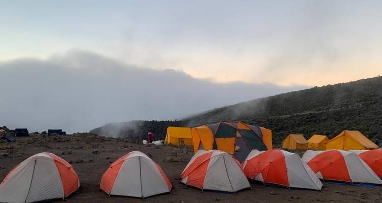 7 días de Senderismo por la Ruta Umbwe en el Kilimanjaro: Tasa de éxito, mejor itinerario y precio. - Africa Natural Tours 1