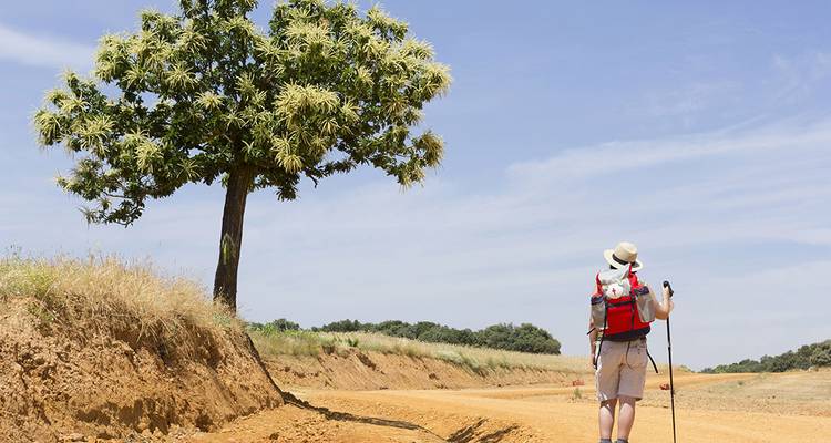 Marcher sur le Camino de Santiago - Intrepid Travel 5