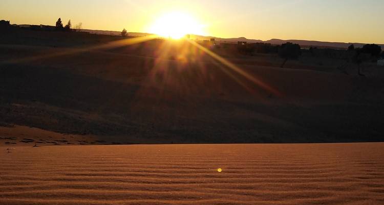 Dune landscape with sunrise in the distance.