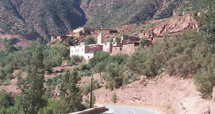 Village on a hill with trees and winding road.