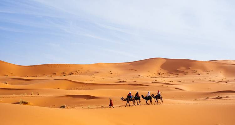 Camel caravan crossing the sand dunes.