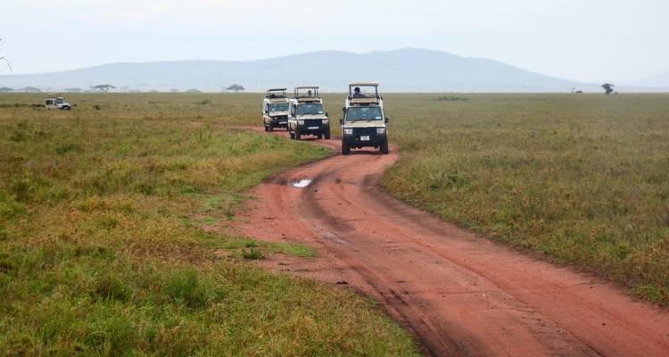 Best 1-day Tanzania safari to Arusha National Park from Moshi - Africa Natural Tours 7