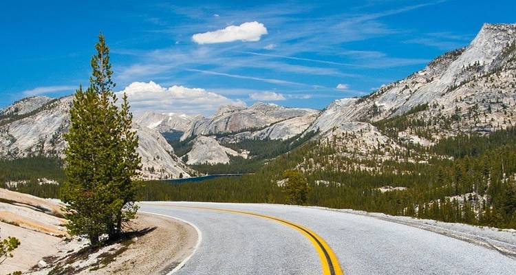 Hiking in Yosemite and the Sierra Nevada - Intrepid Travel 7