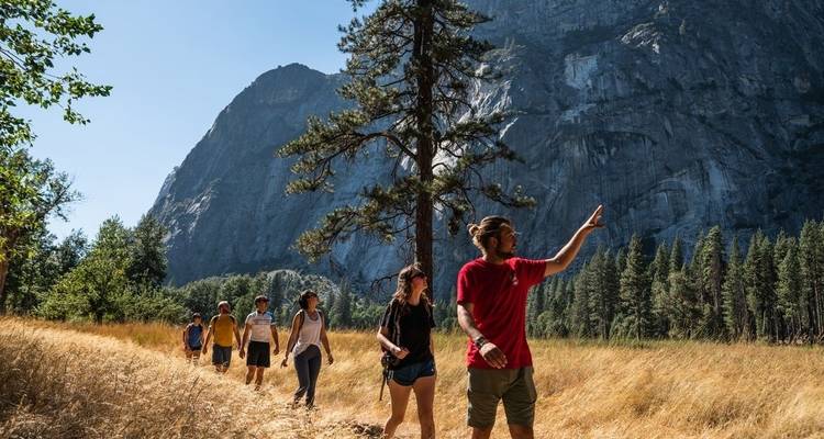 Hiking in Yosemite and the Sierra Nevada - Intrepid Travel 6