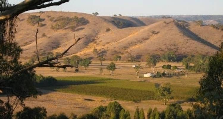 Tour de Great Victorian Rail Trail Self Guided - Tour de Vines 1