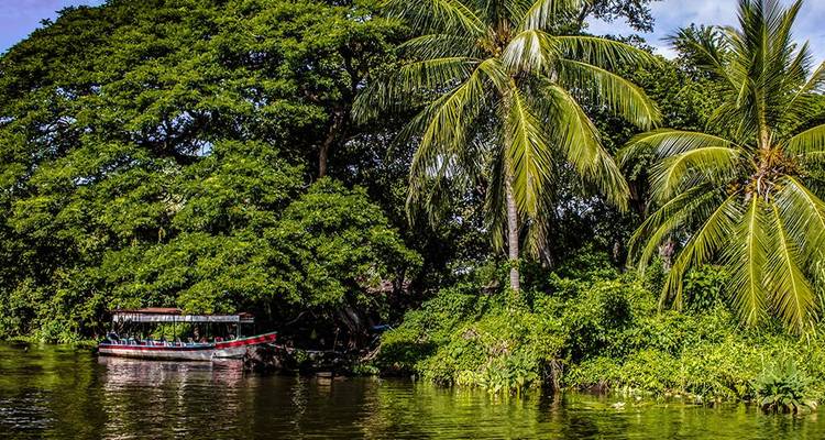 Boat on a river with lush greenery.