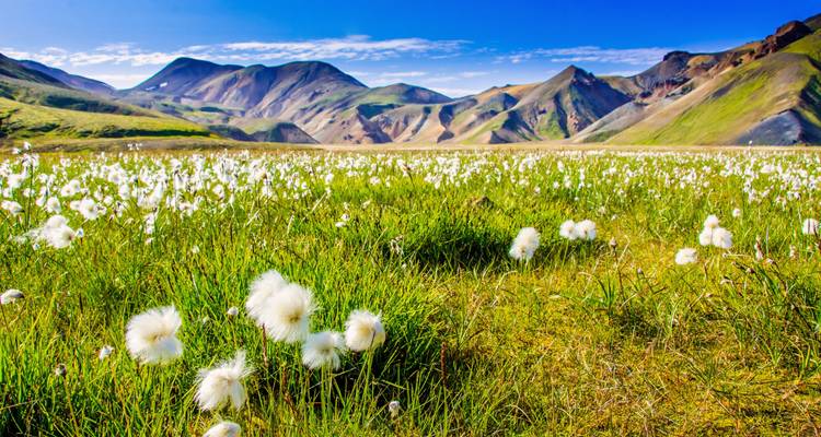 Gems of South Iceland - joyaux du sud de l'Islande - 3 jours - GJ Travel 6