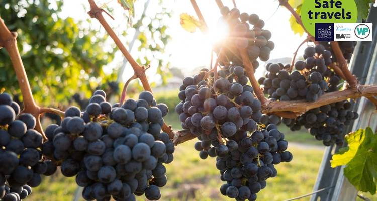Border Crossing: Santiago de Chile & Mendoza - People Travel and Experience 1