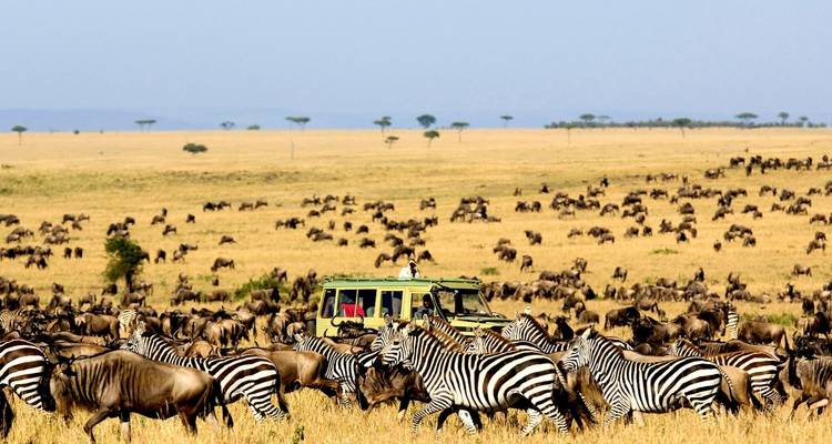 Safari de 4 jours pour la migration des gnous du Serengeti : visitez le célèbre Serengeti et le cratère du Ngorongoro à un prix abordable. - Africa Natural Tours 2