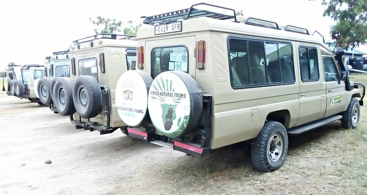 Safari de 4 jours pour la migration des gnous du Serengeti : visitez le célèbre Serengeti et le cratère du Ngorongoro à un prix abordable. - Africa Natural Tours 7