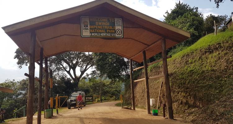 Safari de 11 jours à la découverte des gorilles, des chimpanzés et du lac Mburo - Bamboo Ecotours 2