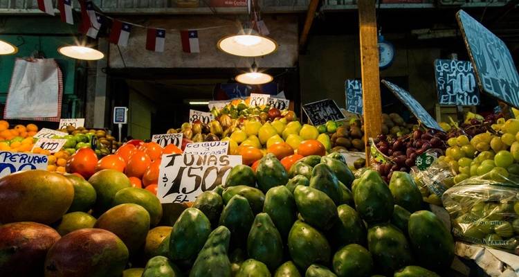 Private Wine & Food Experience in Chile: Casablanca, San Antonio Valley & Valparaiso  - Signature DMC 1