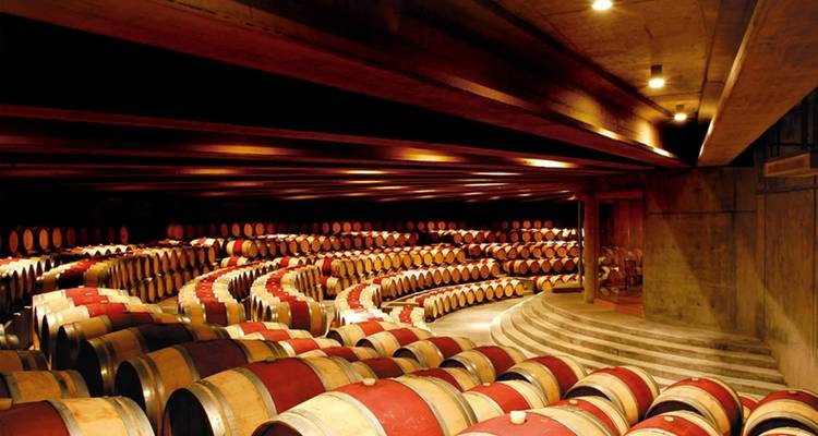 Private Wine & Food Experience in Chile: Casablanca, San Antonio Valley & Valparaiso  - Signature DMC 2