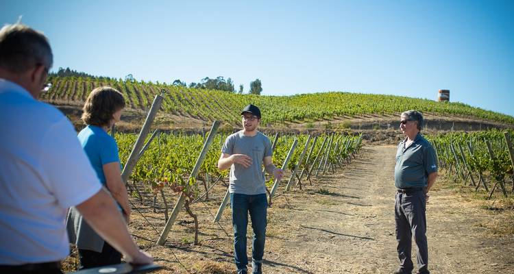 Private Wine & Food Experience in Chile: Casablanca, San Antonio Valley & Valparaiso  - Signature DMC 8