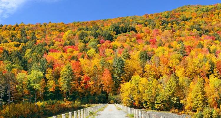Vermont Fall Foliage Trek - Wildland Trekking 7