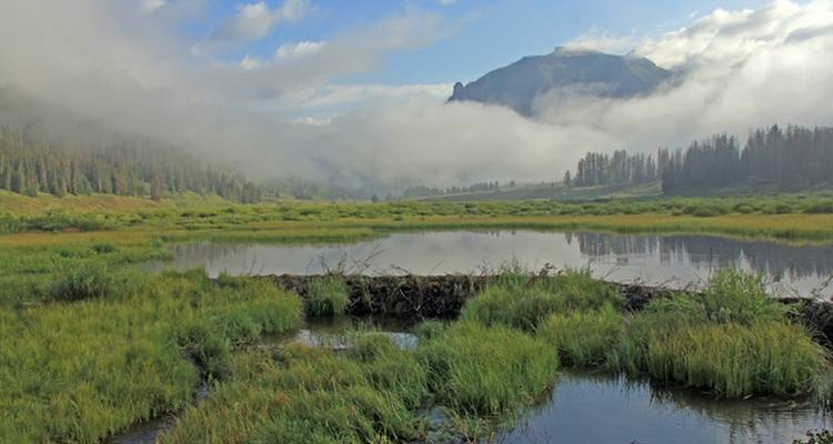 Wild Wyoming Llama Trek - Wildland Trekking 3