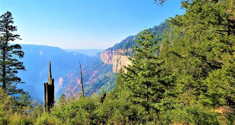 Senderismo por el paso de Greybull - Wildland Trekking 1