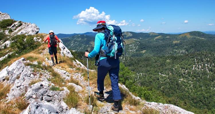 Altas cumbres y bosques antiguos de los Smokies - Wildland Trekking 2