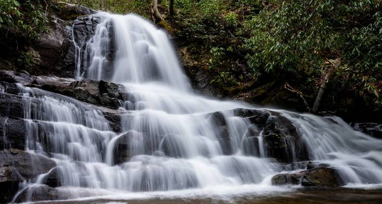 Altas cumbres y bosques antiguos de los Smokies - Wildland Trekking 3