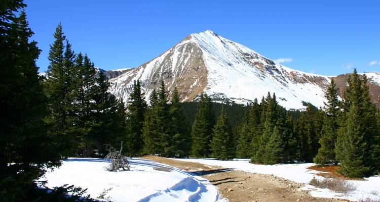 Altas cumbres y bosques antiguos de los Smokies - Wildland Trekking 6