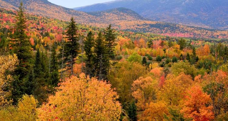 Presidential Peaks and the Appalachian Trail - Wildland Trekking 3