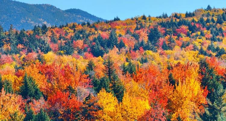 Presidential Peaks and the Appalachian Trail - Wildland Trekking 9