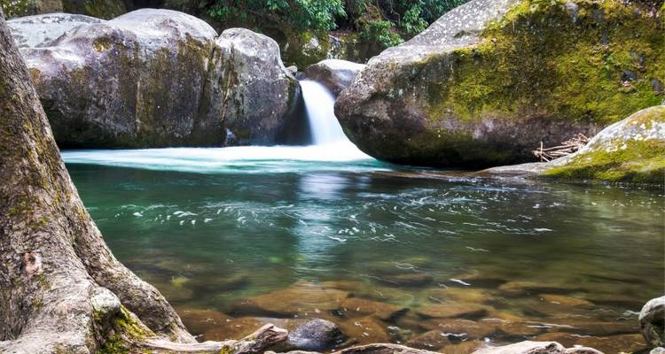 Le meilleur des Smokies et d'Asheville - Wildland Trekking 3