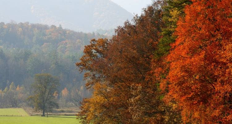 Le meilleur des Smokies et d'Asheville - Wildland Trekking 6