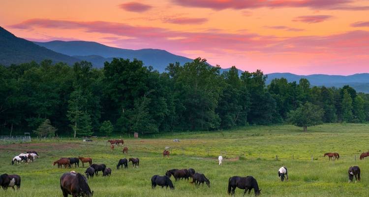 Le meilleur des Smokies et d'Asheville - Wildland Trekking 8