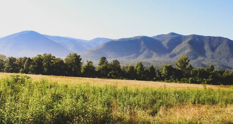 Le meilleur des Smokies et d'Asheville - Wildland Trekking 10