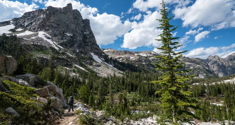 Trek en lama dans le bassin de l'Alaska - Wildland Trekking 2