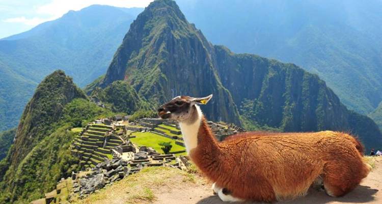 5 jours à la découverte des "incontournables" @ Pérou, Lima, Cusco et; Machu Picchu - Signature DMC 9