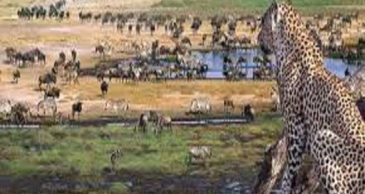 Best 2-Day Tanzania join group safari with Reasonable Price 2025/2026 - Africa Natural Tours 6