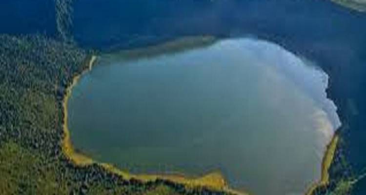 Best 2-Day Tanzania join group safari with Reasonable Price 2025/2026 - Africa Natural Tours 8